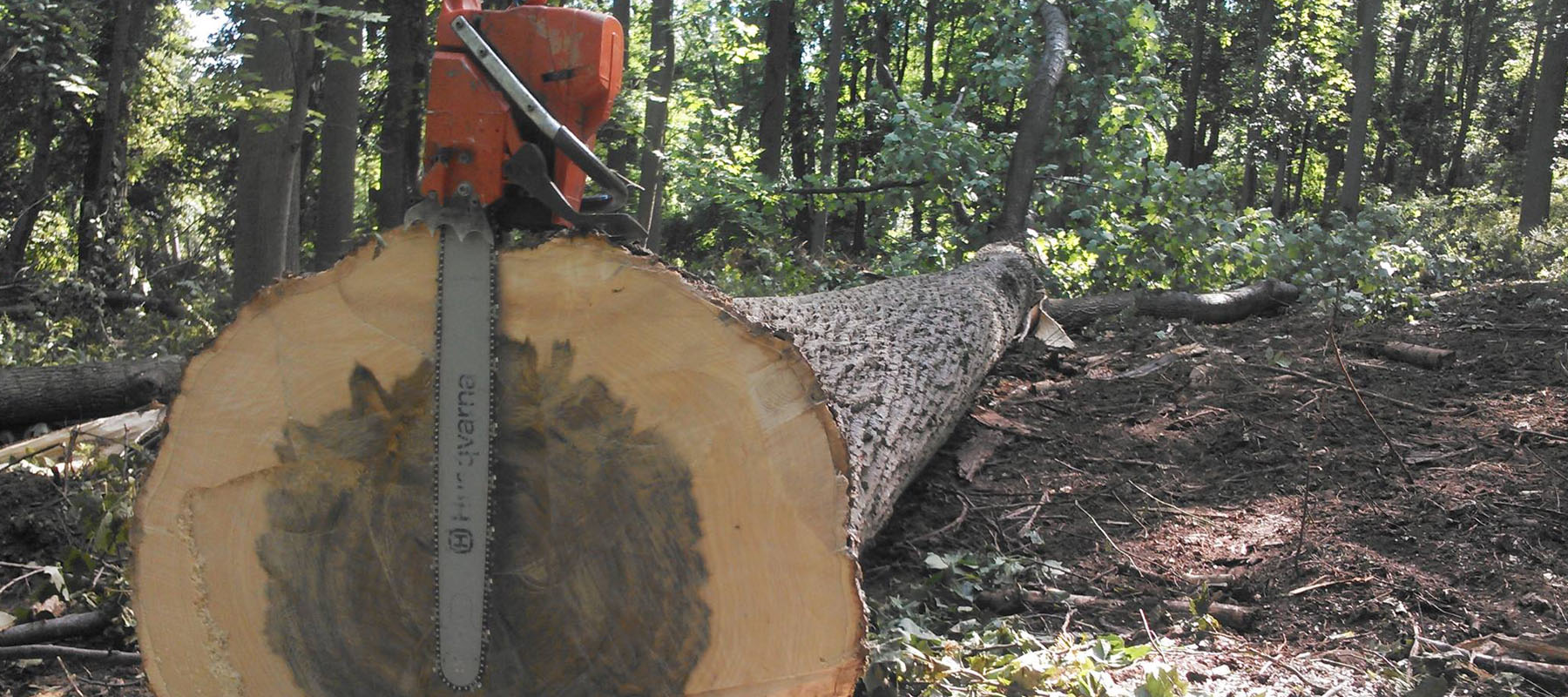 Middle Valley Lumber Sawmill Califon NJ